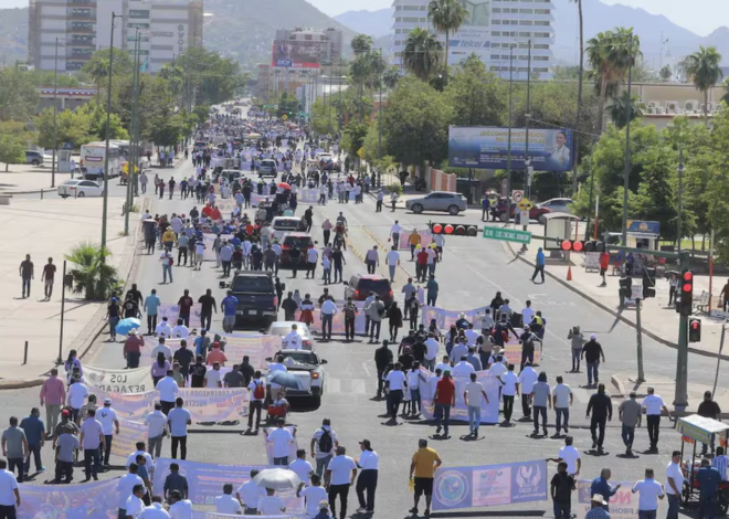 Mega Marcha contra la Ley de Protección Animal